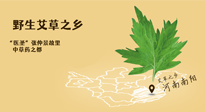 艾草越嫩越好，還是越久越好？悄悄告訴你：艾草這樣用，效果最好！