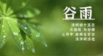 【二十四節(jié)氣灸】谷雨時節(jié)，用艾為您的健康加上一道保險！