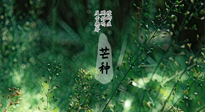 【二十四節(jié)氣灸】芒種節(jié)氣，培土補(bǔ)脾、養(yǎng)陰生津！艾灸這些穴位事半功倍！