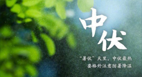 【三伏養(yǎng)生】至熱中伏，吃三樣，喝三樣，三大禁忌千萬(wàn)別犯，小心落下病根！