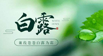 【二十四節(jié)氣灸】白露涼爽，養(yǎng)心肝脾胃、滋陰潤(rùn)肺是關(guān)鍵！