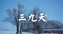 【三九養(yǎng)生】冬三九，三九第三灸，一年中最后艾灸黃金9天！