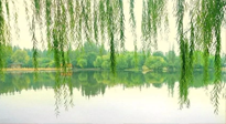 【養(yǎng)生知識】已入五九，六九將至，五九的養(yǎng)生秘訣，你知道嗎？