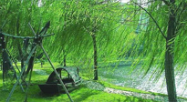 【養(yǎng)生知識】元宵入六九，春季已至，六九天的養(yǎng)生知識你知道多少？