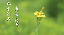 【九九養(yǎng)生】三月四日“九九日”，寒冬已過(guò)。春天養(yǎng)好身，全年不怕??！
