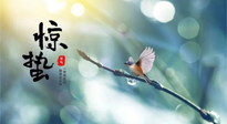 【二十四節(jié)氣灸】驚蟄節(jié)氣，艾灸喚醒抵抗力、補(bǔ)充陽(yáng)氣的最好時(shí)機(jī)！