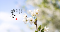 【二十四節(jié)氣灸】春分，平分了大地晝夜；艾灸，平衡了身體陰陽！