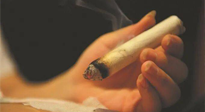 【艾灸知識】春暖花開，衣衫漸薄，再不減肥，身上的肉肉可藏不住了！
