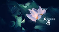 【二十四節(jié)氣灸】趁大暑好好艾灸，才不辜負(fù)三伏天的驕陽(yáng)！