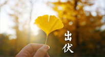 【艾灸三伏天】出伏啦！三防三宜兩穴位，防止身體“秋后算賬”！