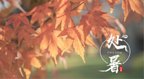 【二十四節(jié)氣灸】處暑，冬病夏治倒計(jì)時(shí)！秋涼真的要來(lái)了！