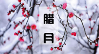 【臘月養(yǎng)生】調(diào)氣血、補陽氣、促進良好睡眠，健康一整年！