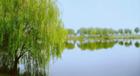 【艾灸知識】春三月，必艾灸穴位：疏肝理氣，養(yǎng)血調(diào)神！