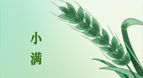 【二十四節(jié)氣灸】小滿節(jié)氣記得艾灸，悠悠長夏，健康度過！