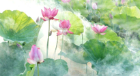【養(yǎng)生知識(shí)】花開半夏，夏至養(yǎng)生，這些知識(shí)一定要牢記！