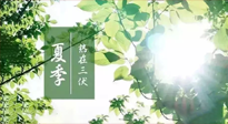 【艾灸三伏天】今年三伏不一般，仙草小助理建議大家早作準備哦！