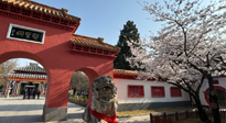 【行業(yè)資訊】新華財經(jīng)：守正創(chuàng)新，中醫(yī)藥品牌化發(fā)展“更上一層樓”！