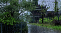 【艾灸知識】多雨的日子里，艾灸會不會加重濕氣呢？