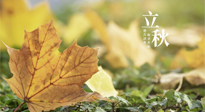 【節(jié)氣養(yǎng)生】甲辰立秋，“2做”、“2不做”，護好我們身體的正氣，預防外邪的侵襲！