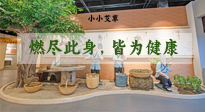 【艾草知識】小小艾草，渾身是寶，一生燃盡此身，皆為健康！