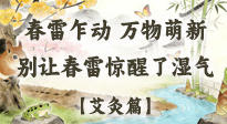 【二十四節(jié)氣灸】春雷驚醒濕氣！驚蟄艾灸3穴，疏肝祛濕養(yǎng)元氣！